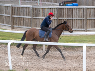 BP210325-16 - Squire Danagher